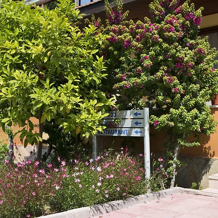 欧莱姆花园酒店 3* 锡德
