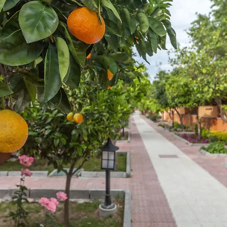 Ozlem Garden Side