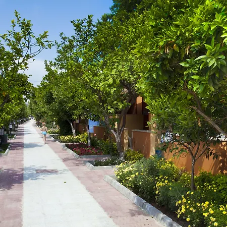 Ozlem Garden 3*