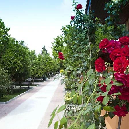 Hotel Ozlem Garden