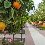 Ozlem Garden Сиде