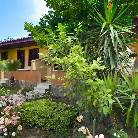 Ozlem Garden